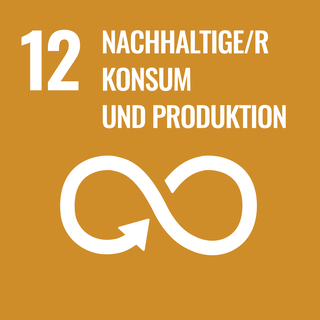 Ziel 12: Nachhaltige/r Konsum und Produktion — hier leistet WAZZA einen Beitrag